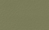 Granny Smith