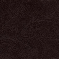 Brown Vinyl