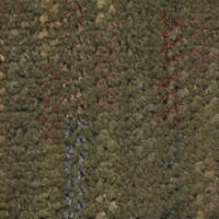 Bromley Forest