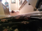A stairlift in Lynn Haven, Florida, image 3