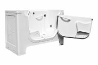 Sanctuary Wheelchair Access Walk-In Tub (Large)