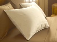 Pacific Coast&reg; Premier Down Embrace&reg; Pillow