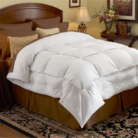Pacific Coast&reg; Stratus Down&trade; Comforter - Discontinued 2016